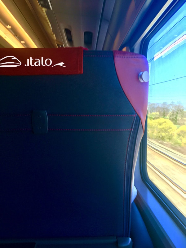 Carrozza Italo Treno in viaggio per Salerno per Luci d'Artista