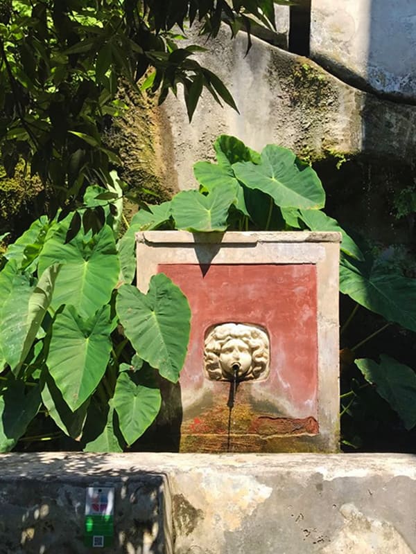 Dettaglio della Fontana Colocasia al Giardino della Minerva di Salerno
