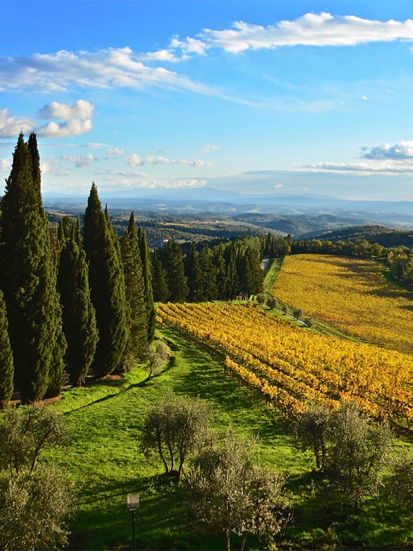 Passeggiate e trekking nel borgo di Sovicille