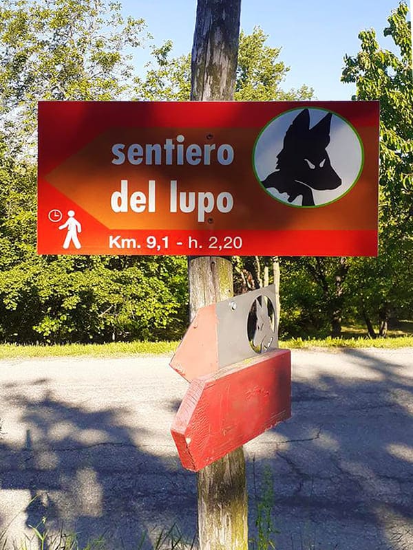 Sentiero del Lupo a Montelupo Albese nelle Langhe