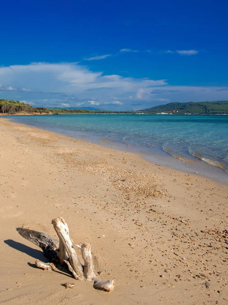 Le spiagge più belle di Alghero in Sardegna con sabbia dorata e mare cristallino